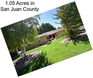 1.05 Acres in San Juan County