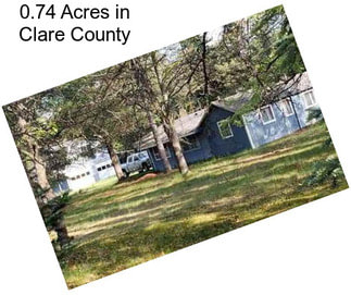 0.74 Acres in Clare County