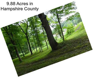 9.88 Acres in Hampshire County