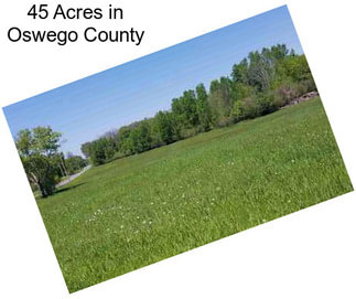 45 Acres in Oswego County