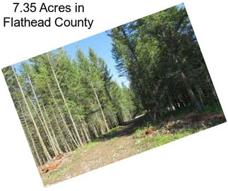 7.35 Acres in Flathead County