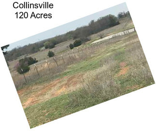 Collinsville 120 Acres