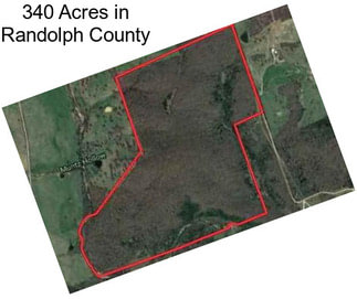 340 Acres in Randolph County