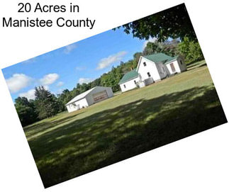20 Acres in Manistee County
