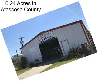 0.24 Acres in Atascosa County
