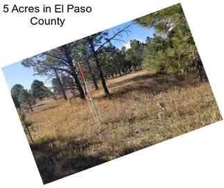 5 Acres in El Paso County