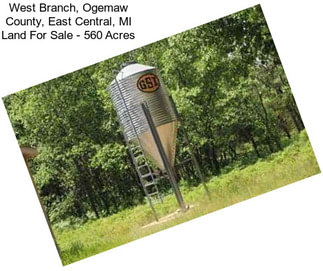 West Branch, Ogemaw County, East Central, MI Land For Sale - 560 Acres