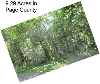9.29 Acres in Page County