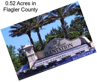 0.52 Acres in Flagler County