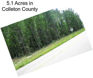 5.1 Acres in Colleton County