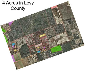 4 Acres in Levy County