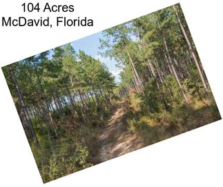 104 Acres McDavid, Florida