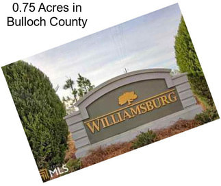 0.75 Acres in Bulloch County