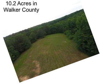 10.2 Acres in Walker County