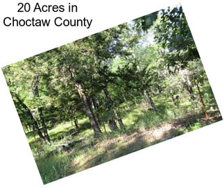 20 Acres in Choctaw County