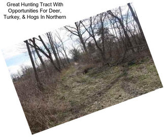 Great Hunting Tract With Opportunities For Deer, Turkey, & Hogs In Northern