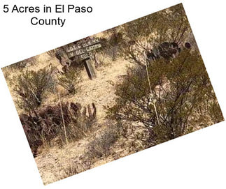 5 Acres in El Paso County