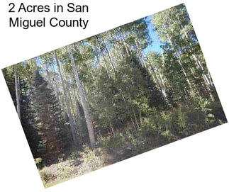 2 Acres in San Miguel County