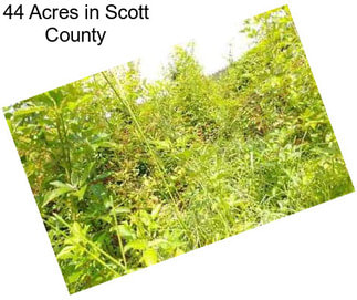 44 Acres in Scott County