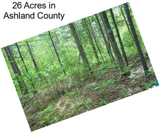 26 Acres in Ashland County