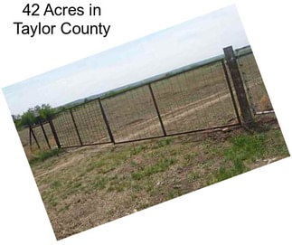 42 Acres in Taylor County