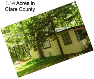 1.14 Acres in Clare County