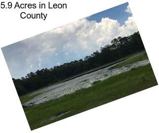 5.9 Acres in Leon County
