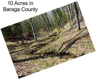 10 Acres in Baraga County