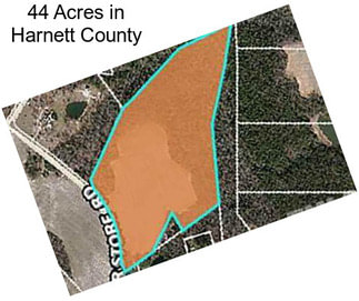 44 Acres in Harnett County