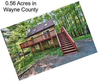 0.56 Acres in Wayne County