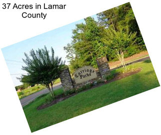 37 Acres in Lamar County