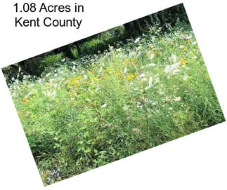 1.08 Acres in Kent County