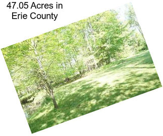 47.05 Acres in Erie County