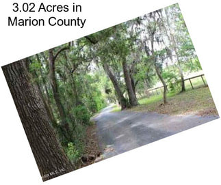 3.02 Acres in Marion County