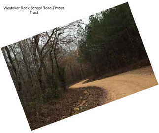 Westover Rock School Road Timber Tract