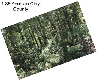 1.38 Acres in Clay County