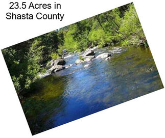 23.5 Acres in Shasta County