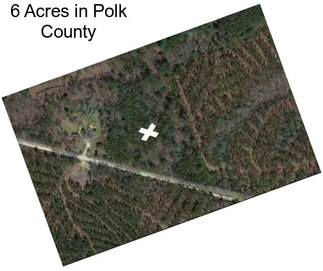 6 Acres in Polk County