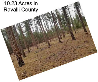 10.23 Acres in Ravalli County