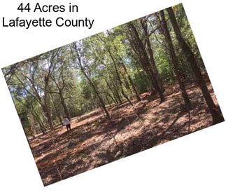 44 Acres in Lafayette County