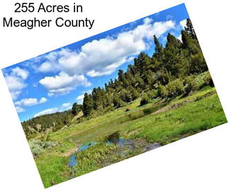 255 Acres in Meagher County