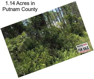 1.14 Acres in Putnam County