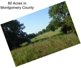 80 Acres in Montgomery County