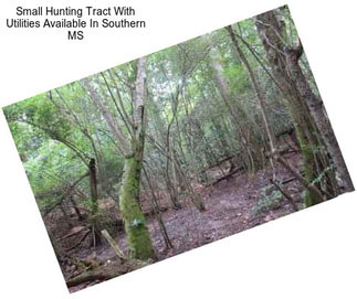 Small Hunting Tract With Utilities Available In Southern MS