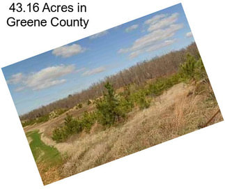 43.16 Acres in Greene County