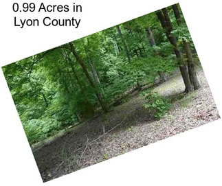 0.99 Acres in Lyon County