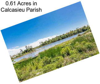 0.61 Acres in Calcasieu Parish