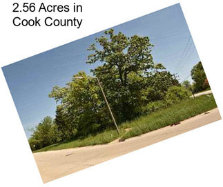 2.56 Acres in Cook County