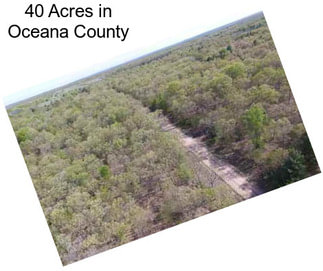 40 Acres in Oceana County