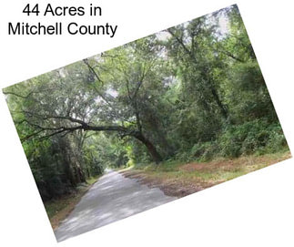 44 Acres in Mitchell County